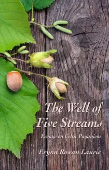 The Well of Five Streams, Paperback/Erynn Rowan Laurie