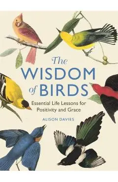 The Wisdom of Birds: Essential Life Lessons for Positivity and Grace - Alison Davies