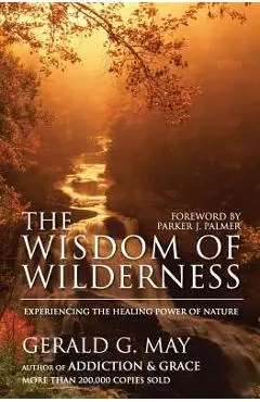 The Wisdom of Wilderness: Experiencing the Healing Power of Nature - Gerald G. May