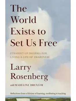 The World Exists to Set Us Free. Straight-Up Dharma for Living a Life of Awareness, Paperback/Madeline Drexler