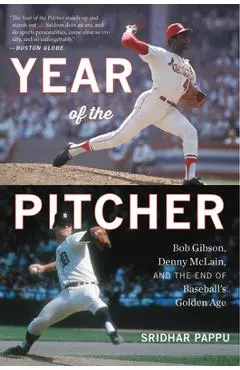 The Year of the Pitcher: Bob Gibson, Denny McLain, and the End of Baseball's Golden Age - Sridhar Pappu