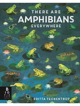 There Are Amphibians Everywhere, Hardback/Camilla De La Bedoyere