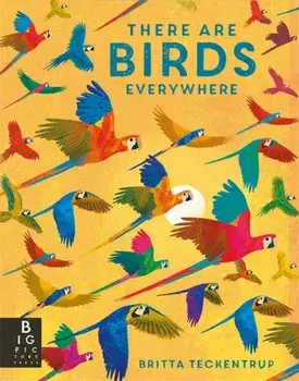 There are Birds Everywhere, Paperback/Camilla De La Bedoyere