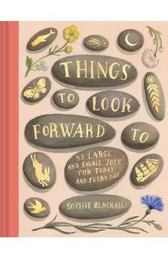 Things to Look Forward to - Sophie Blackall