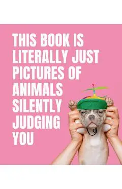 This Book Is Literally Just Pictures of Animals Silently Judging You - Smith Street Books