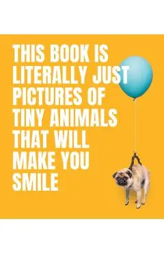 This Book Is Literally Just Pictures of Tiny Animals That Will Make You Smile - Smith Street Books