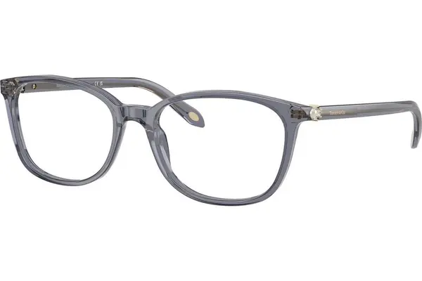 Tiffany & Co. TF2109HB 8405