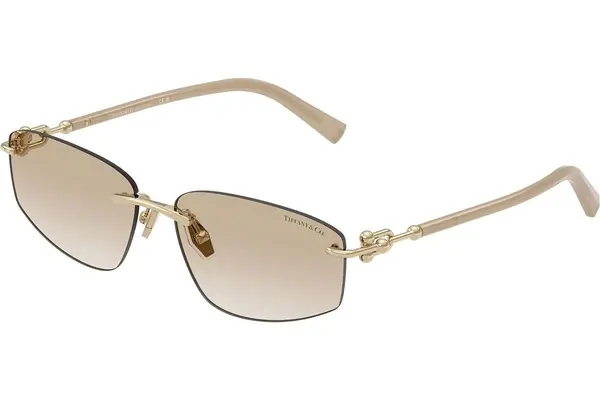 Tiffany & Co. TF3114 602111