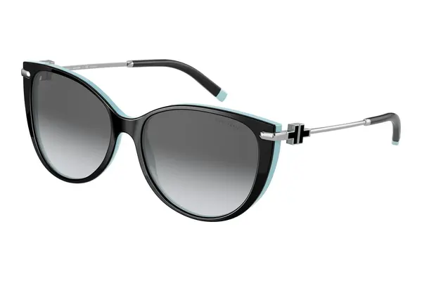Tiffany & Co. TF4178 8055T3 Polarized