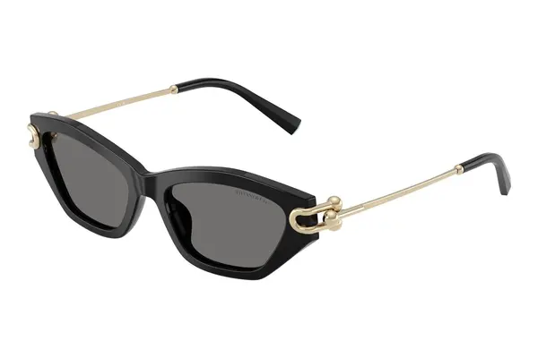 Tiffany & Co. TF4231U 800181 Polarized
