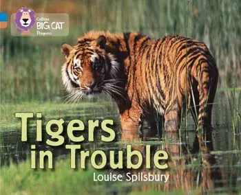Tigers in Trouble. Band 04 Blue/Band 12 Copper, Paperback/Louise Spilsbury