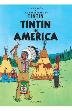 Tintin in America