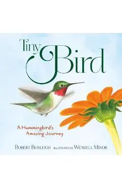 Tiny Bird: A Hummingbird's Amazing Journey - Robert Burleigh