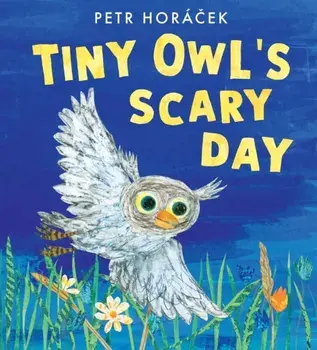 Tiny Owl's Scary Day, Hardback/Petr Horacek