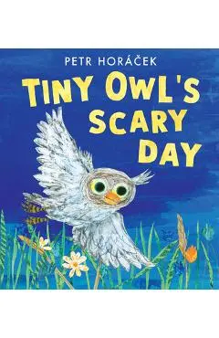 Tiny Owl's Scary Day - Petr Horácek