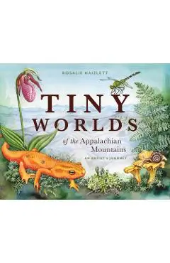 Tiny Worlds of the Appalchian Mountains: An Artist's Journey - Rosalie Haizlett