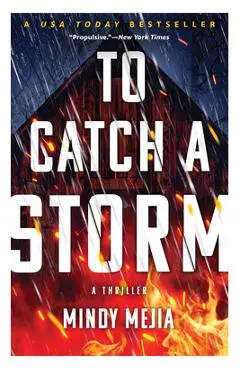 To Catch a Storm - Mindy Mejia