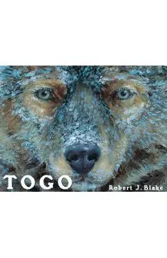 Togo - Robert J. Blake