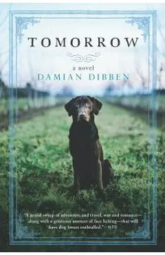 Tomorrow - Damian Dibben