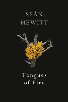 Tongues of Fire, Paperback/Sean Hewitt