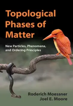 Topological Phases of Matter, Hardback/Joel E. Moore