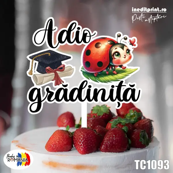 Topper Tort UV Adio gradinita TC1093 13x13cm, Plexiglass alb