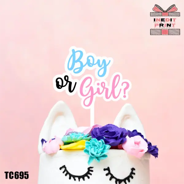 Topper tort UV Boy or Girl? TC695 16x16cm, MDF