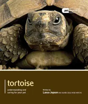 Tortoise, Paperback/Lance Jepson