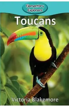 Toucans - Victoria Blakemore