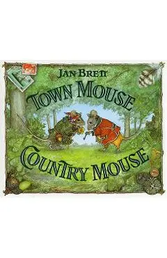 Town Mouse Country Mouse - Jan Brett