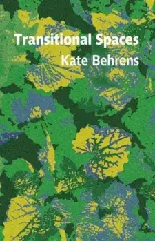 Transitional Spaces, Paperback/Kate Behrens