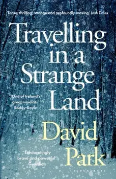 Travelling in a Strange Land. Winner of the Kerry Group Irish Novel of the Year, Paperback/David Park
