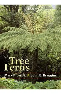 Tree Ferns - Mark F. Large