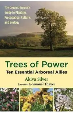 Trees of Power