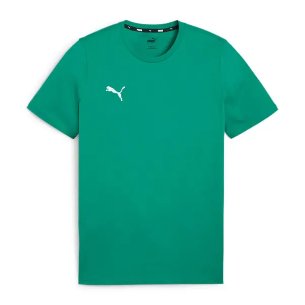 Tricou Puma teamGOAL Casuals - 05 Pepper Green, S