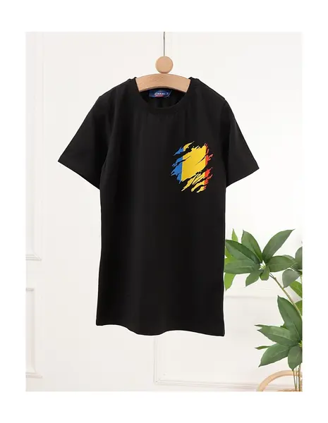 Tricou Tricolor Romania, negru