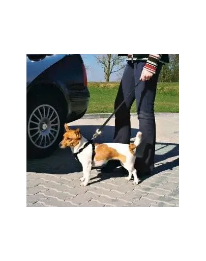 TRIXIE Ham de mașină pentru câini M