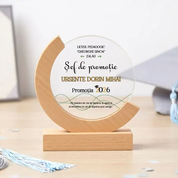 Trofeu personalizat Sef de promotie PP13