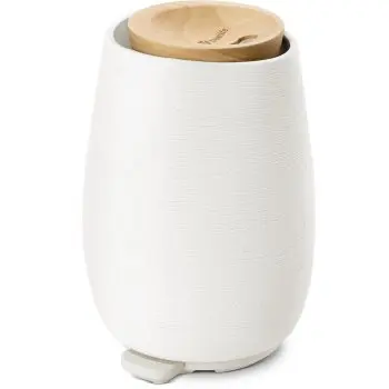 TrueLife AIR Diffuser D8 difuzor de aromă cu ultrasunete și umidificator de aer