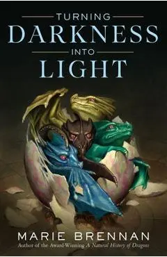 Turning Darkness Into Light - Marie Brennan
