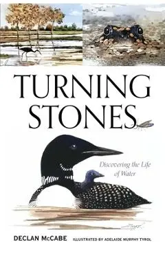 Turning Stones: Discovering the Life of Water - Declan Mccabe