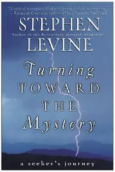 Turning Toward the Mystery: A Seeker's Journey, Paperback/Stephen Levine