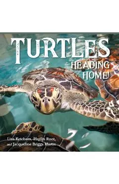 Turtles Heading Home! - Liza Ketchum
