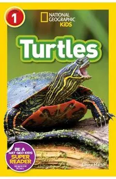 Turtles - Laura Marsh