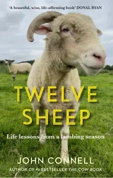 Twelve Sheep. Life lessons from a lambing season, Main, Hardback/John Connell