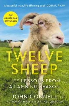 Twelve Sheep. Life lessons from a lambing season, Paperback/John Connell