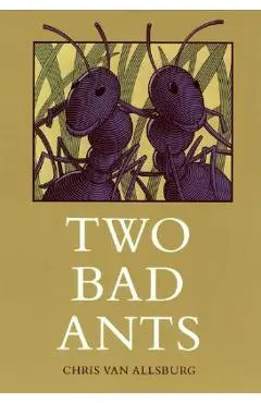 Two Bad Ants - Chris Van Allsburg