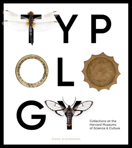 Typology | Diana Zlatanovski