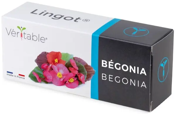 Umplutură sol Veritable - Lingot, Begonie comestibilă, fără OMG