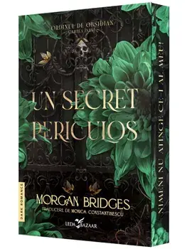 Un secret periculos. Seria Ordinul de Obsidian. Cartea intai/Morgan Bridges